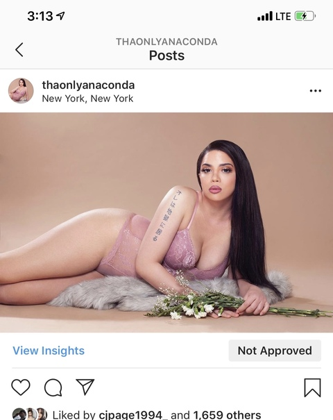 andreaanaconda onlyfans leaked picture 1