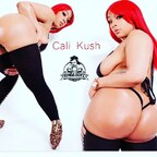 calikushxxrated250 onlyfans leaked picture 1