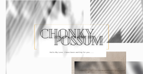 chonkypossum onlyfans leaked picture 2
