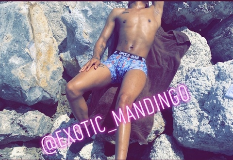 exotic_mandingo onlyfans leaked picture 1