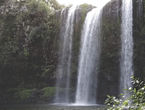 foxiefaery onlyfans leaked picture 1