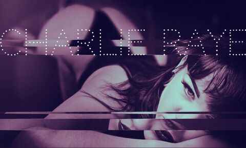 inkddollcharlie onlyfans leaked picture 2