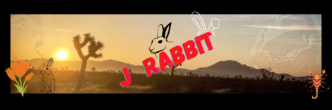 j_the_rabbit onlyfans leaked picture 1