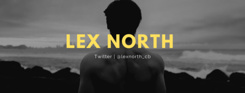 lexnorth onlyfans leaked picture 1