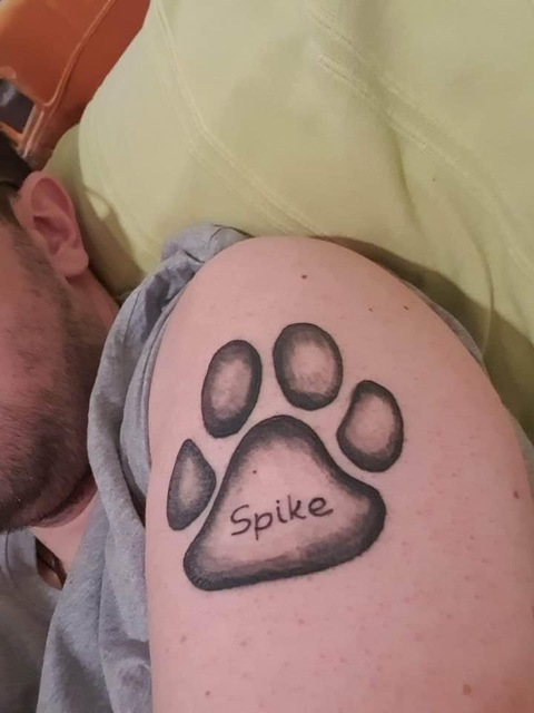 spikethedog87 onlyfans leaked picture 1