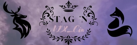 stag2vix_cin onlyfans leaked picture 2