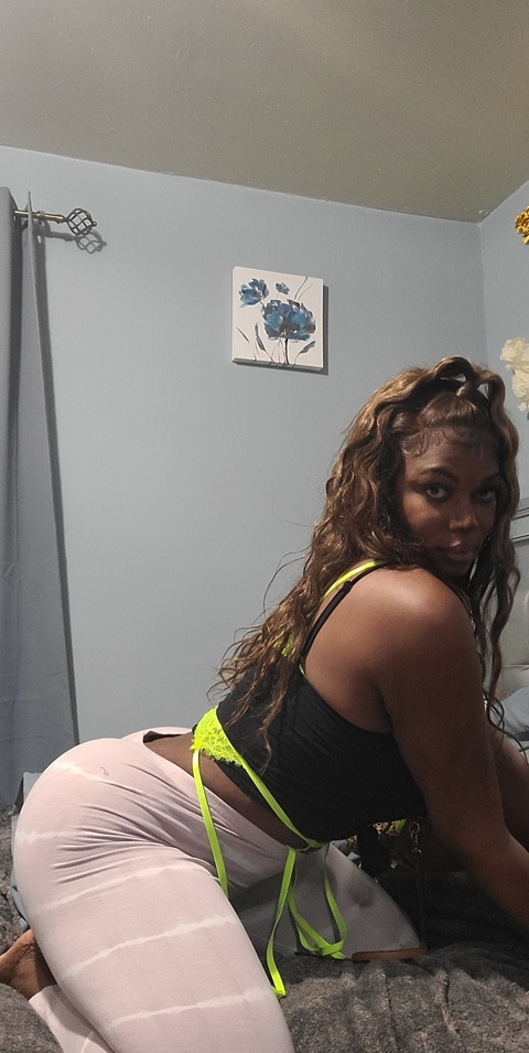tsbigbootyjudy onlyfans leaked picture 1