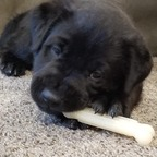 u246133293 onlyfans leaked picture 1