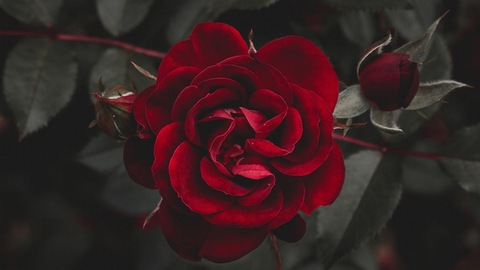 u248237889 onlyfans leaked picture 1