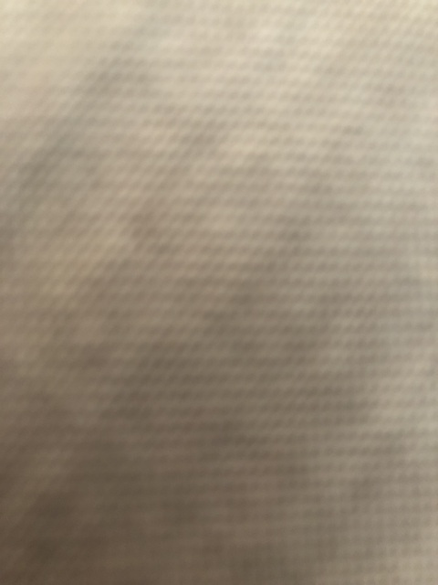 veronicalove20 onlyfans leaked picture 1
